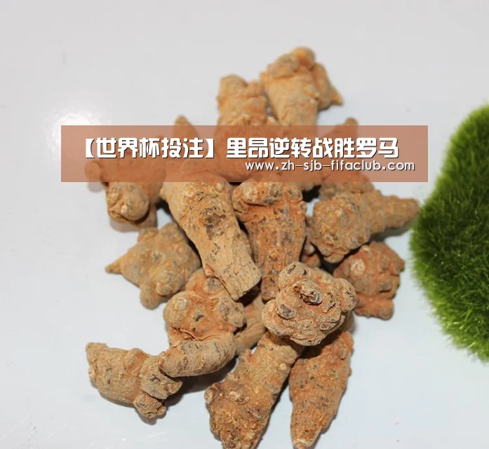 【世界杯投注】里昂逆转战胜罗马(图3) 世界杯买球网站