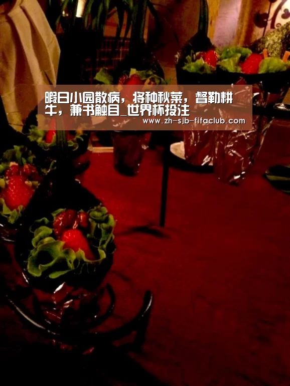 世界杯买球网站